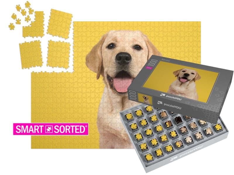 puzzleYOU Fotopuzzle SMART SORTED 1000 dílků